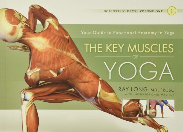 Key Muscles of Yoga by: Ray Long