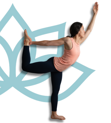 sangha yoga collective yoga teacher training